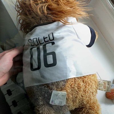 Mascotte Goleo - Coupe Du Monde De Football 2006 En Allemagne - Peluche Occasion