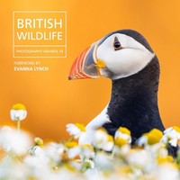 Will Nicholls - British Wildlife Photography Awards 13 13 - Hardback - G245Z