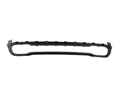 Genuine Mopar Fascia Applique 68210024AC