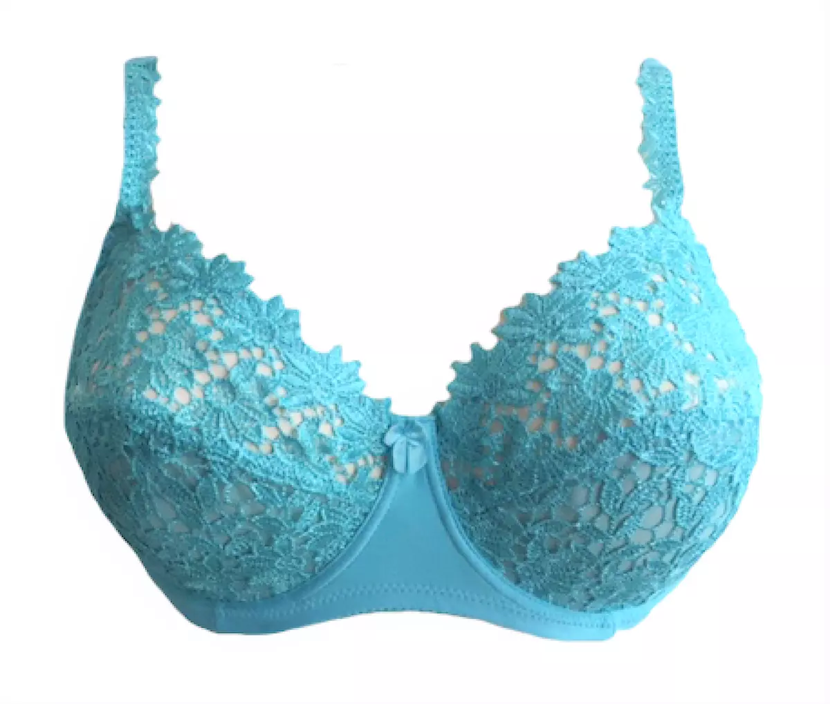 Lingerie femme Bonnet C soutien gorge à armatures fleuri bleu clair Taille  100C