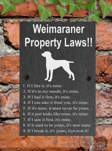 Property Laws Funny Dog Slate Gate House Sign 3 Sizes ALL BREEDS AVAILABLE M-Y - Picture 47 of 57