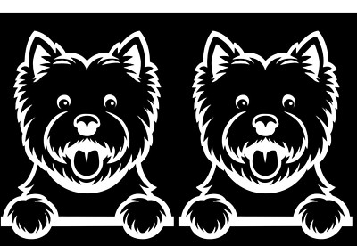 West Highland Terrier Two Peeking White Vinyl Graphic Car Windows Laptop Tablet