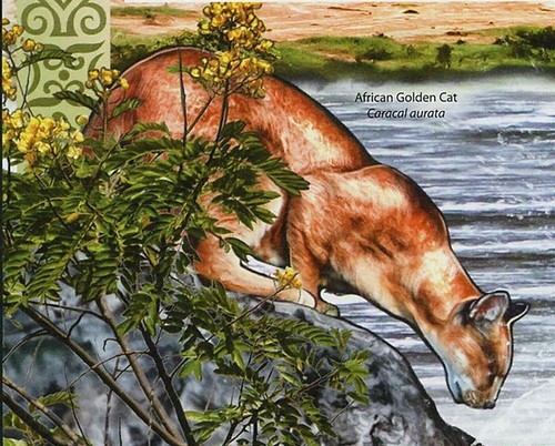Endangered Species Black Crowned Crane African Golden Cat Caracal S/S MNH #2804 - Picture 3 of 12