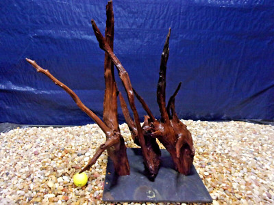 X-Large Driftwood Mounted on Slate 21''x18''x14'' Aquarium Reptile Natural Art