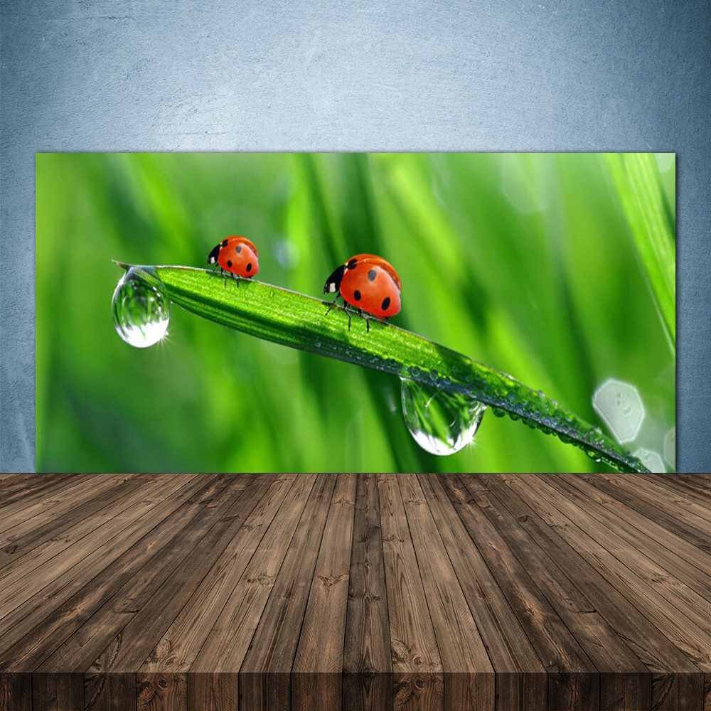 Crédence de cuisine en verre 140x70 cm pour illuminer votre plan de travail en famille