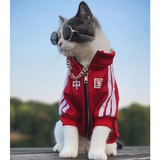 Pet Fashion Brand Cat Blue Cat Puppet Clothes with Plush and Thickened Autumn an