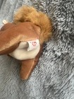 Picture 6 of 6