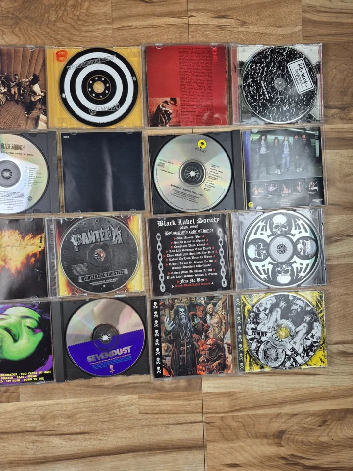 Rock Metal Grunge Punk CD Lot of 12 Kid Rock Anthrax Megadeth Pantera Iron Mdn Foto 3 de 4