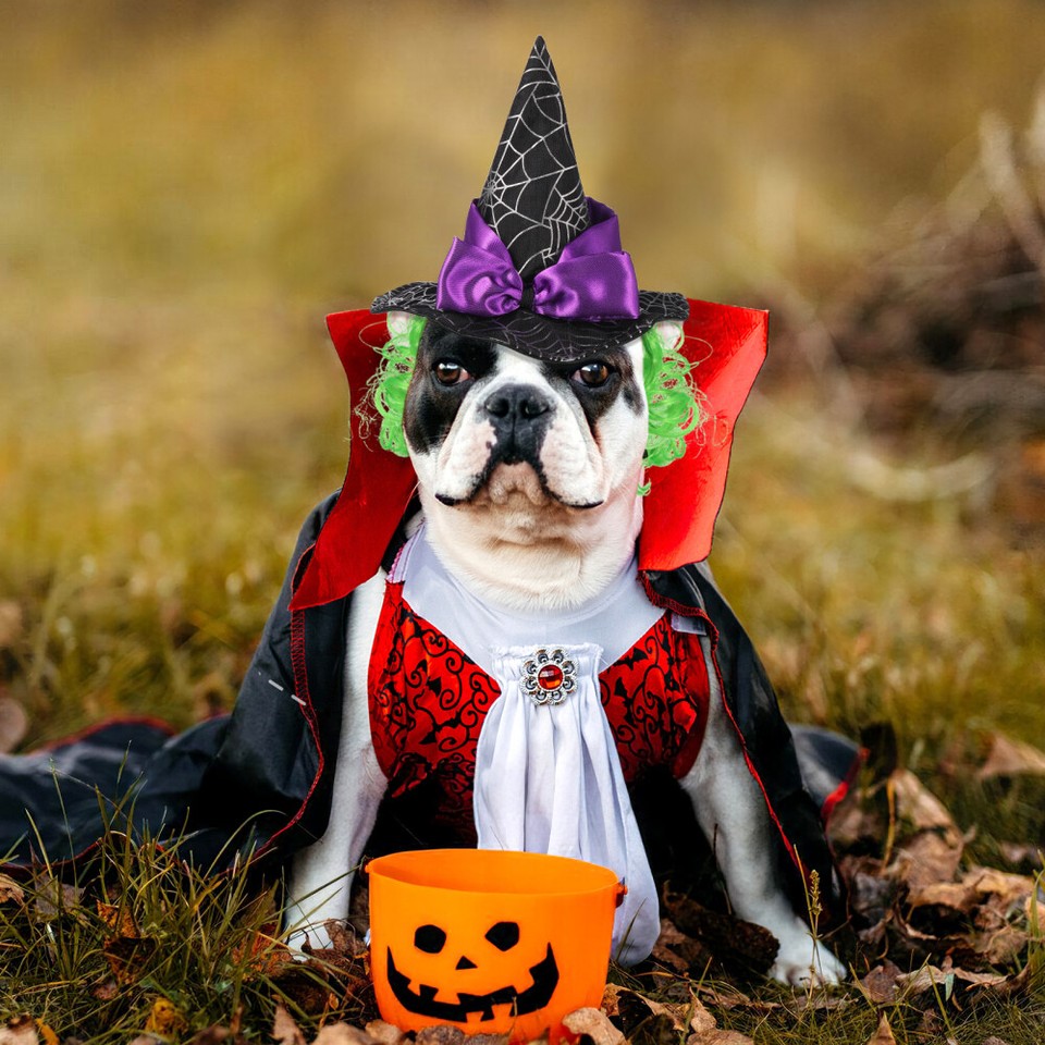 Pet Hat Witch Costume Cat for Large Dog Wizard Pets Halloween Headwear