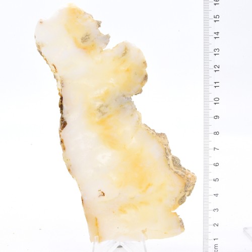 Angel Wing Jasper 4 x Slabs 388g Pack, Lapidary, Cabbing, Gemstone Slabs - Picture 4 of 4