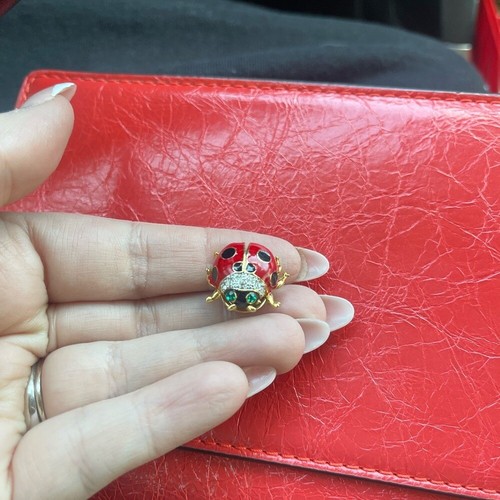 Red Ladybug Brooch