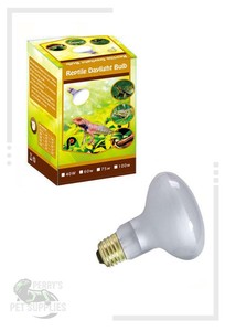 reptile daylight bulb