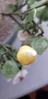 Bild 16 von 16