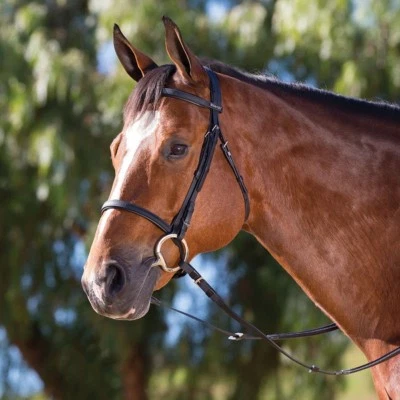 Wintec Synthetik Kappzaum Trense leicht robust schwarz/braun Pony/Warmblut/Voll