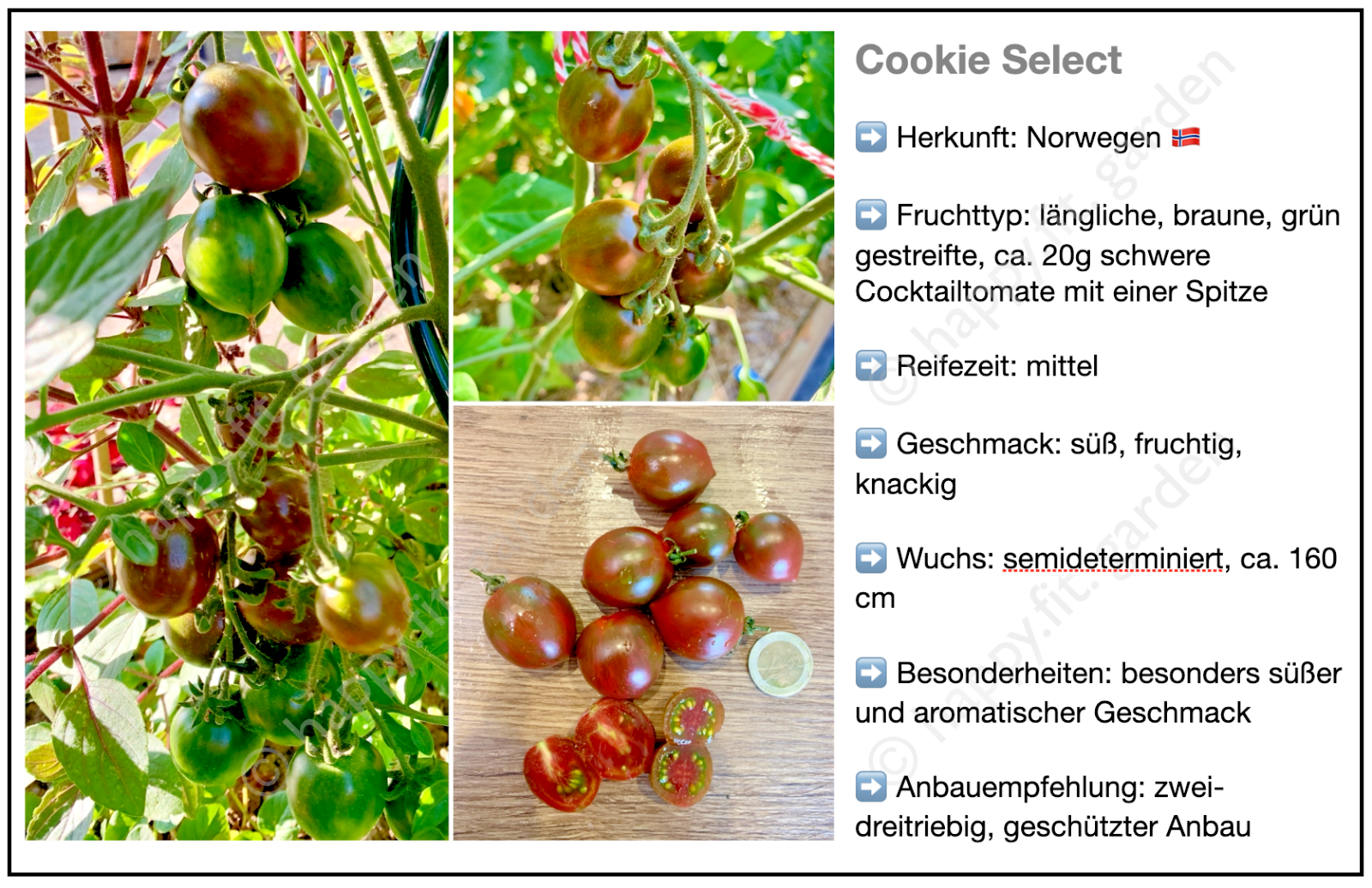 Bild 5 von 7