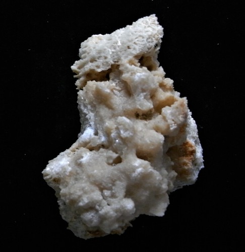 CALCITE PSM CORAL (CA59/7) NEW DISCOVERY Bohol, Philippines - Picture 4 of 8