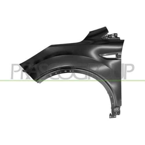 Aile Prasco FD8043004 pour Ford avant gauche en acier noir d'origine