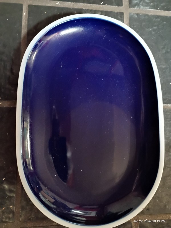 Block Hearthstone Villa Alegre Portugal Platter. 15x10 Inches Gorgeous!