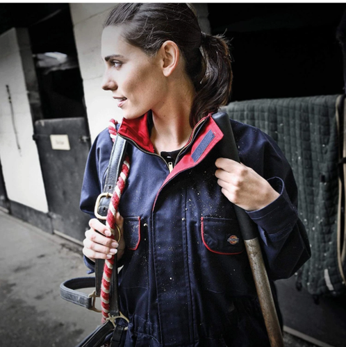 Tuta calda DICKIES WD4839W Redhawk da donna con zip blu navy NUOVISSIMA TAGLIA 12 - Foto 5 di 5