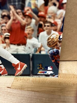 Mark McGwire 61st homerun 8 X 10 Photo. Ties Roger Maris | eBay