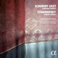 Schubert/Liszt: Wandererfantasie/Tschaikowski: Kon | Liszt | Audio-Cd | Cd