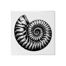 'Ammonite Fossil' 108mm Square Ceramic Tile (TD00034595)