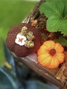 Mini Citrouille, Décoration d'Automne Cottagecore, Citrouille & Fleur, Halloween