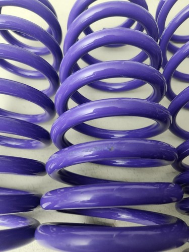 D2 Racing 2" Lowering Springs for 08-12 Accord 09-14 TSX TL D-SP-HN-08 Used - Imagen 2 de 3