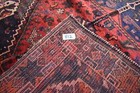 Foto 10 di 10