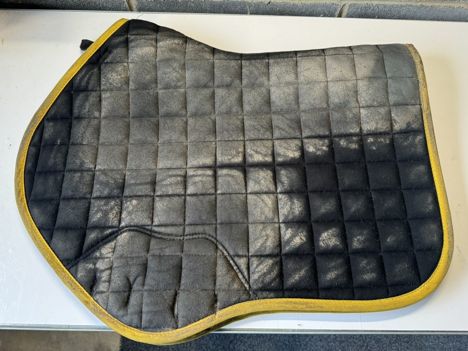 Lemieux Saddle Pad Yellow Dijon Pro Sport Loire CC Large eBay