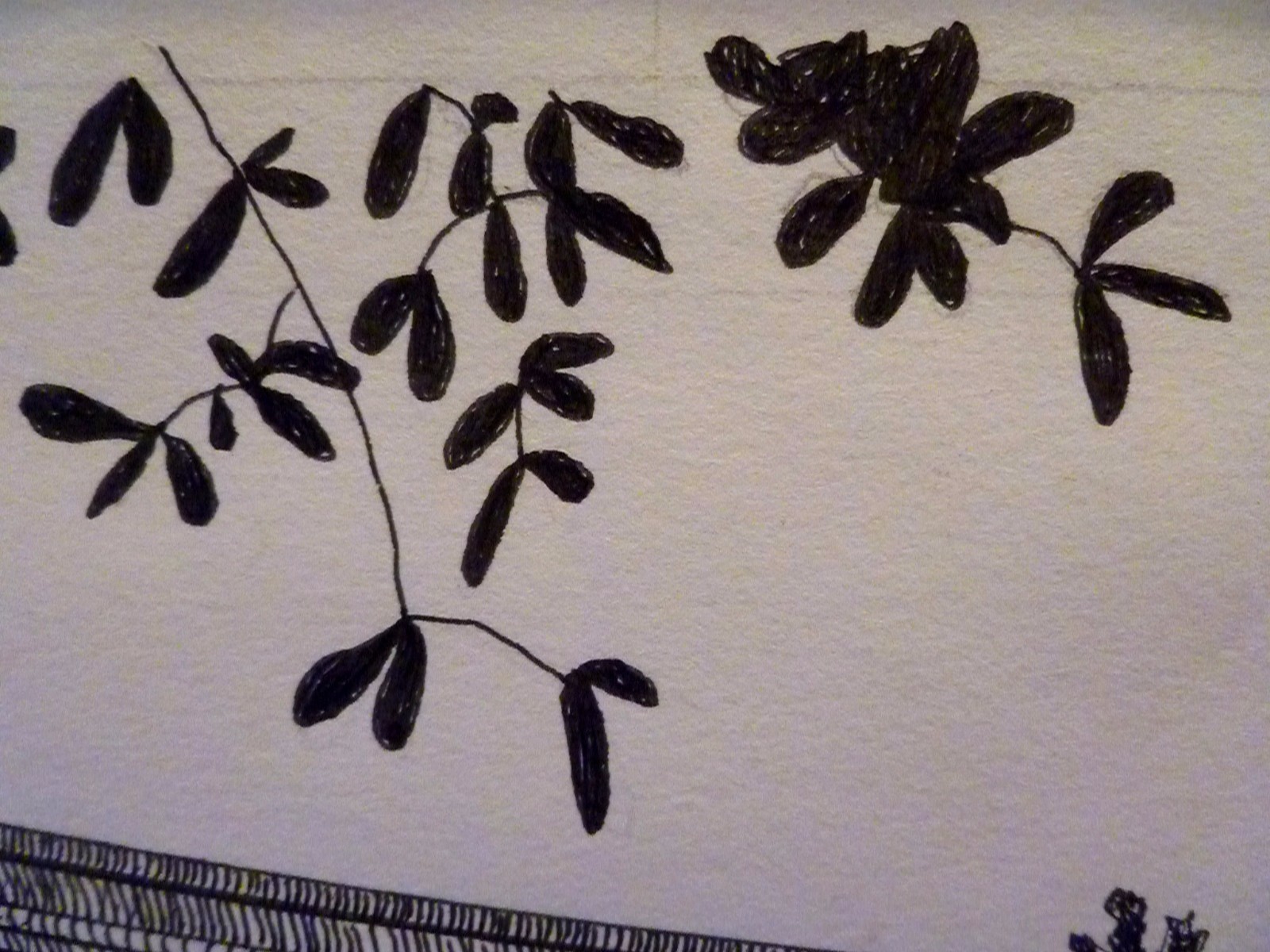 Picture 7 of 10