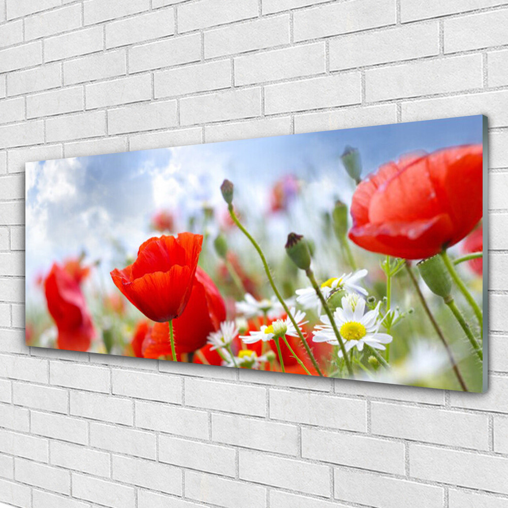 Tableau en verre 125x50 cm lavable Tulup pour décorer les murs sans s'encombrer