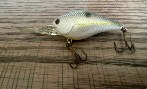 LUCKY CRAFT LC 1.5 DD RT Sexy Shad Hard To Find Rare