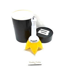 Bigbang Lightstick | eBay