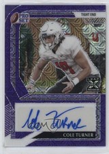 2022 Leaf Pro Set Metal Purple Mojo 1/15 Cole Turner #PA-CT1 Auto n1u