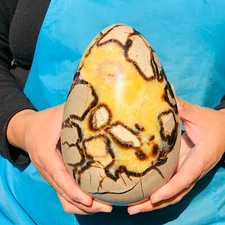 6.93LB  Top Natural Dragon Septarian Crystal Geode Quartz Egg Mineral Specimen