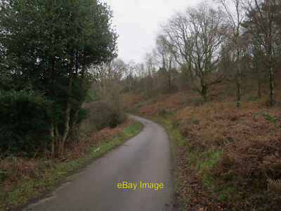 Photo 12x8 Road to Highcombe Farm and Youth Hostel Hindhead Heading down i c2016