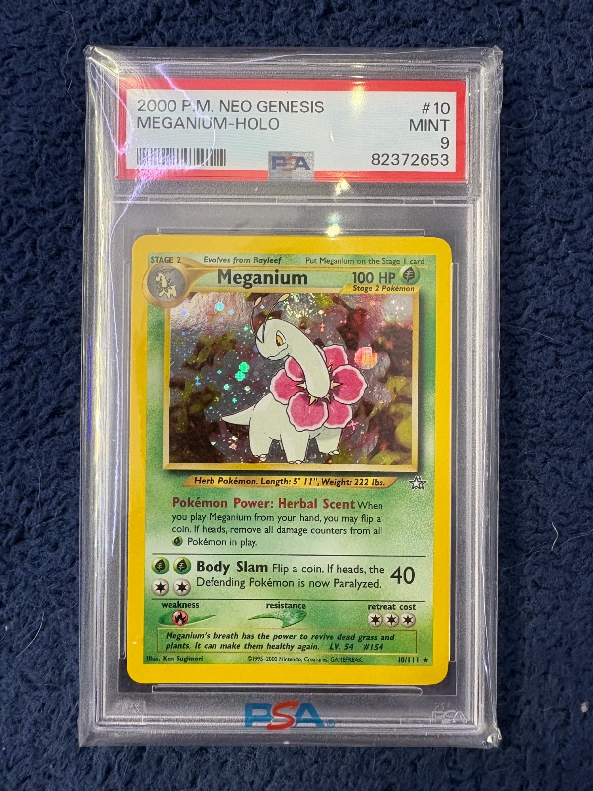PSA 9 Mint Meganium #10 Holo SWIRL 🌀 – 2000 Neo Genesis Pokémon Card