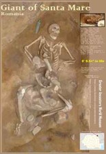 Giant of Santa Mare / Giant Human Skeleton / 13 x 19 poster