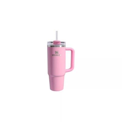 Stanley 30 oz Stainless Steel H2.0 Flowstate Quencher Tumbler Sizzling Pink  | eBay