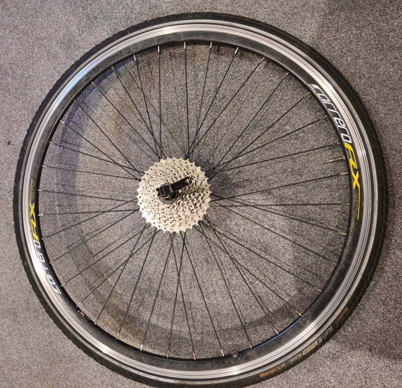 Carrera RX Rear 700cc & Shimano CS-HG50 8 sp cassette 11-34T & Continental Tire
