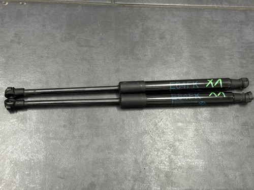 Gasfeder BMW X1 E84 Dämpfer Motorhaube original Haubendämpfer vorne 2990344