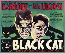 10897.Decoration Poster.Wall Room home art design.Black Cat Karloff Lugosi movie