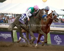Arrogate 2016 Breeders' Cup Classic Photo 8" x 10 - 24" x 30" 