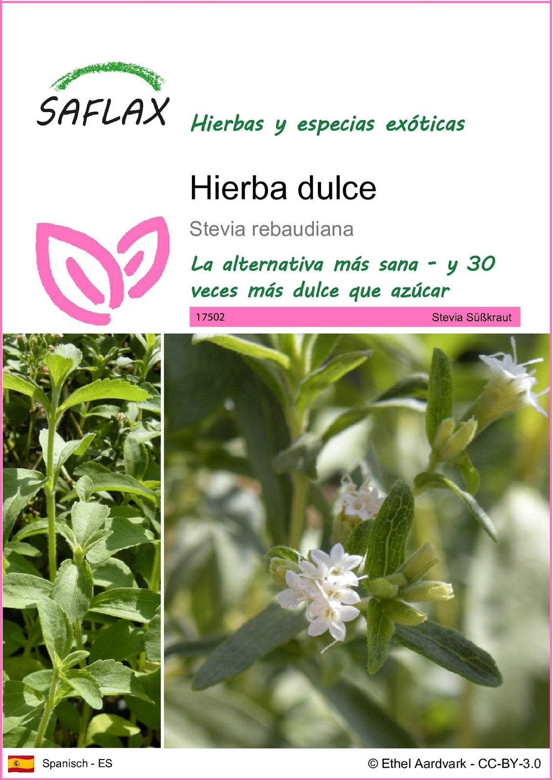Imagen 1 de 9