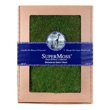 21485 Sheet Moss Flat for Plants Terrariums Wedding Decor 175 Cu. in. Preserved