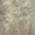 Bild 11 von 11