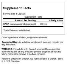 Swanson Gaba 500 mg 100 Capsules