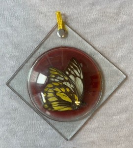 Genuine WWII era Japanese preserved butterfly in glass ornament bought in 1946
