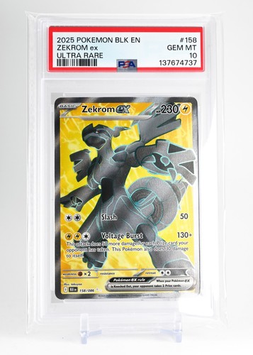 Zekrom ex graded PSA 10 for sale on eBay